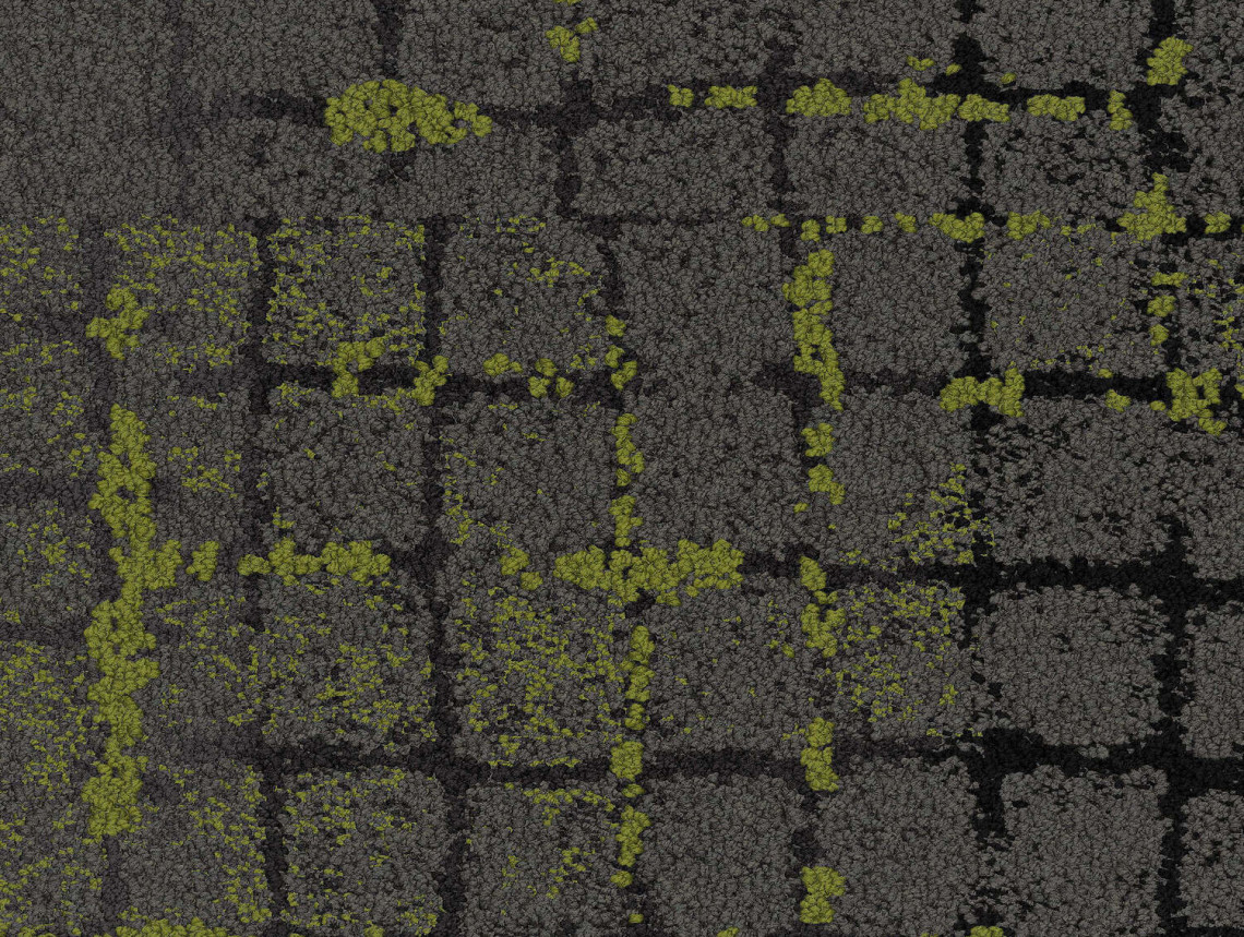 Moss In Stone - 105567 Onyx Edge